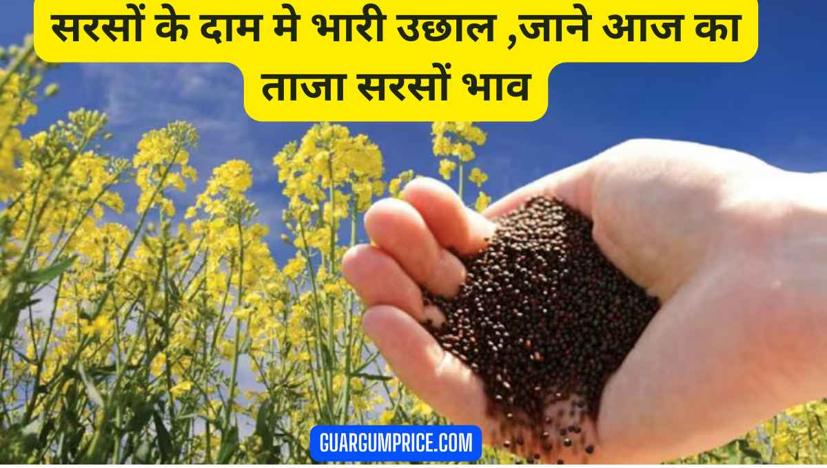 सरसों के दाम मे भारी उछाल ,जाने आज का ताजा सरसों भाव