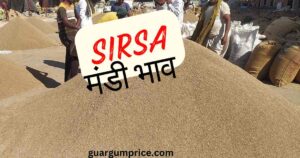 sirsa mandi bhav