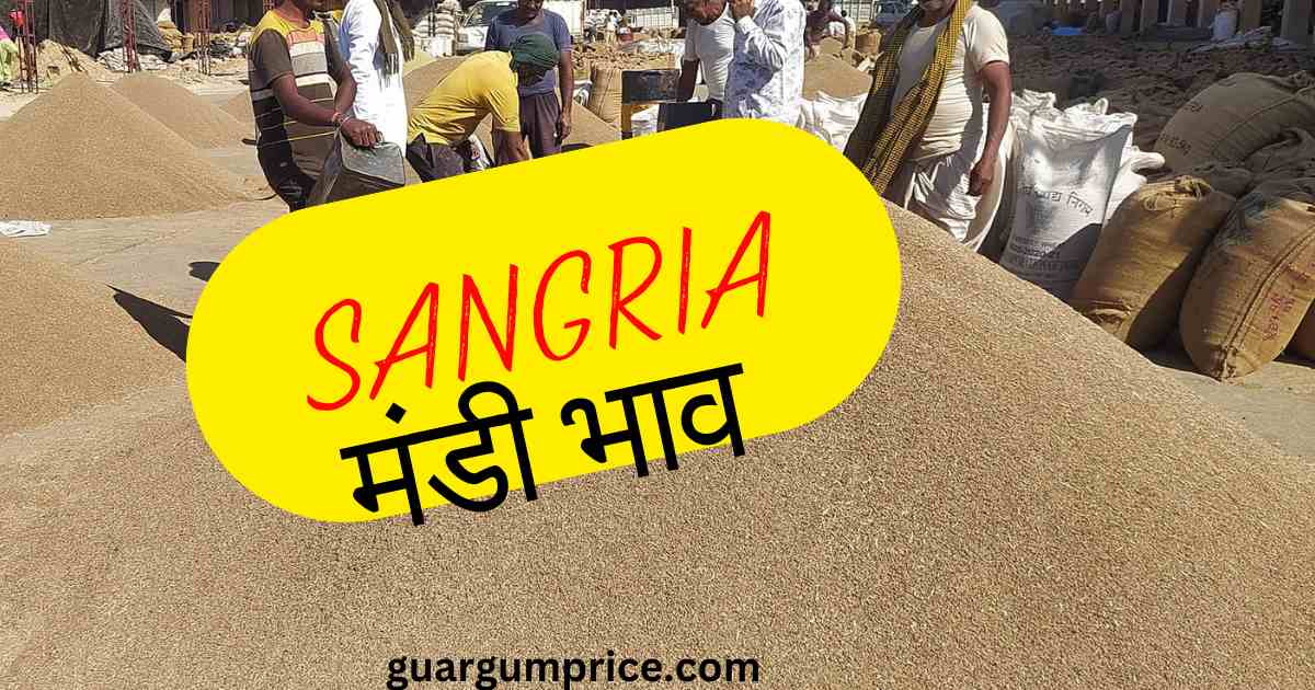संगरिया मंडी भाव